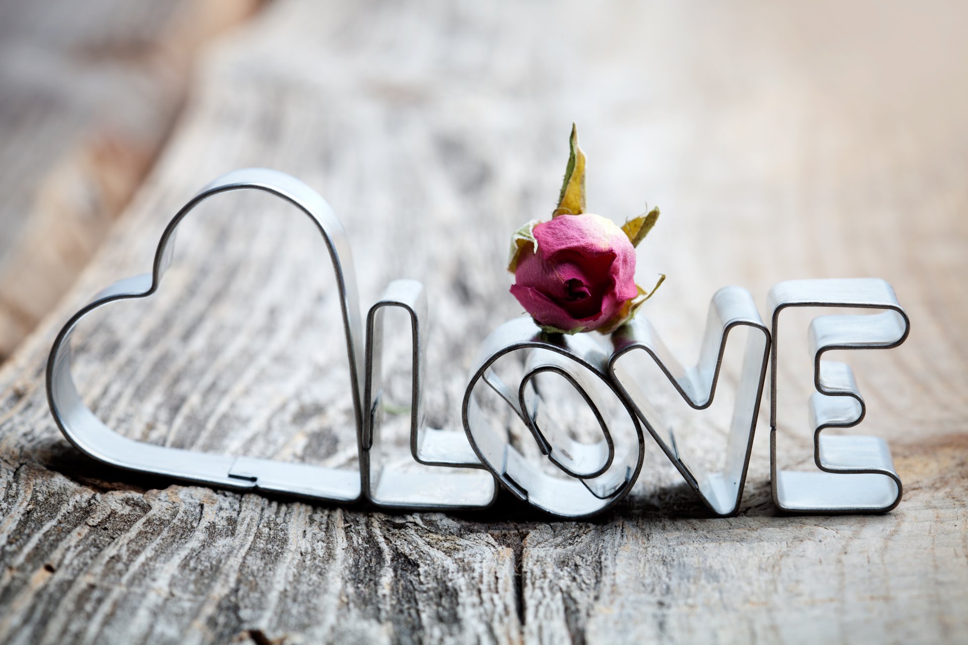 love inscription letters heart rose dried board