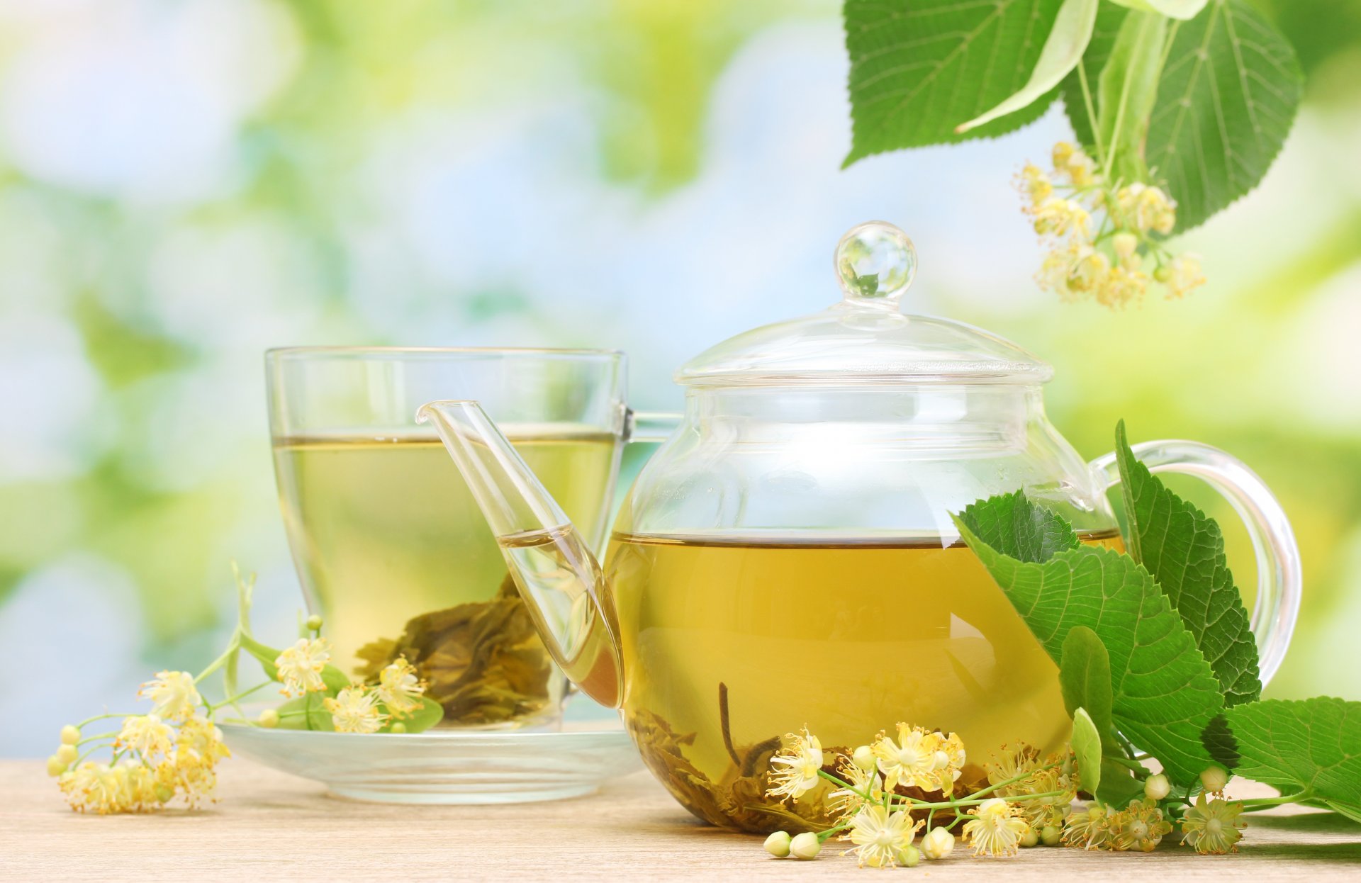 teebeutel untertasse tasse becher tee getränk blumen blätter