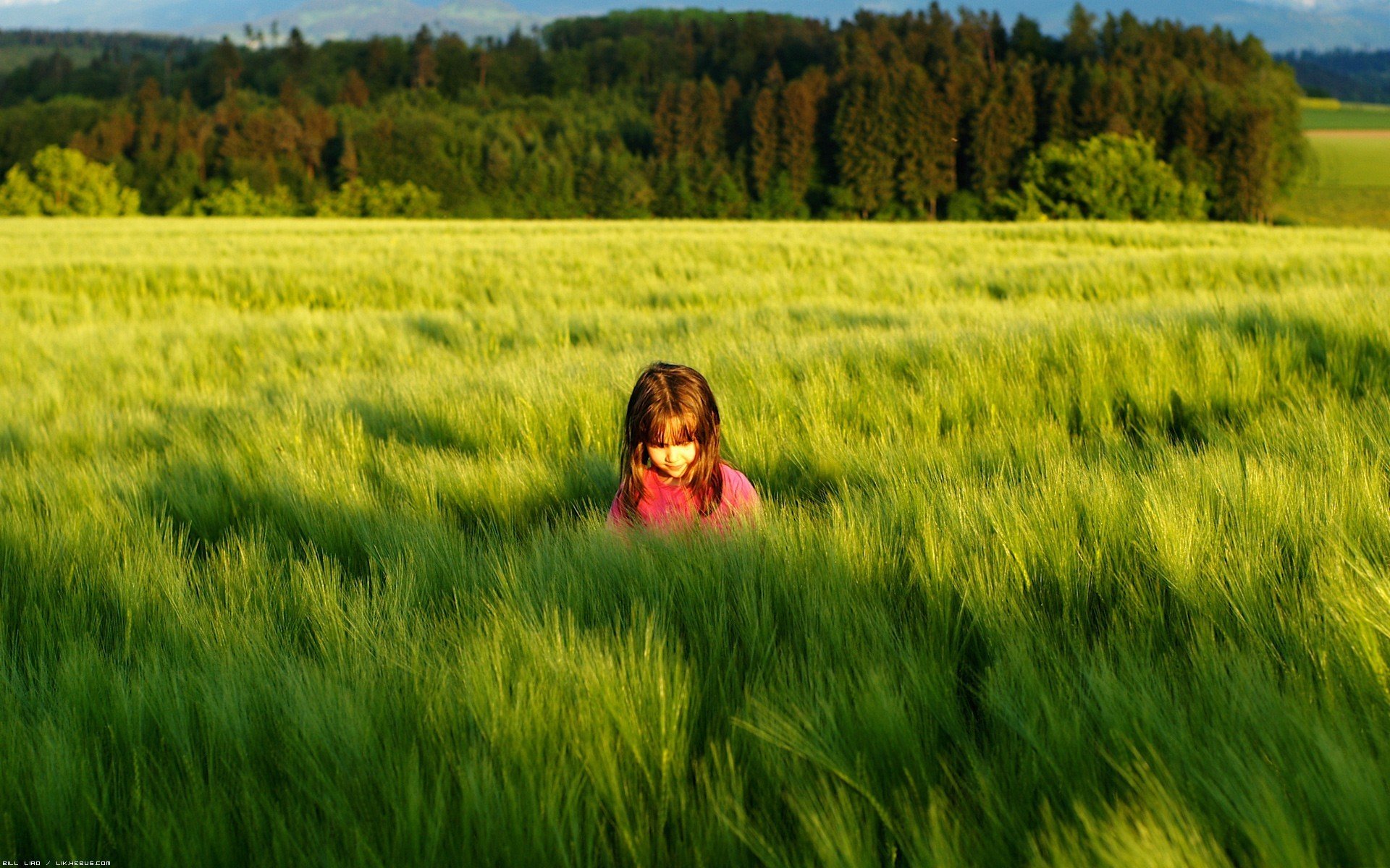 stimmungen kinder mädchen. natur gras grün wiese sonne bäume. laub schatten hintergrund hintergrundbilder vollbild hb wallpaper