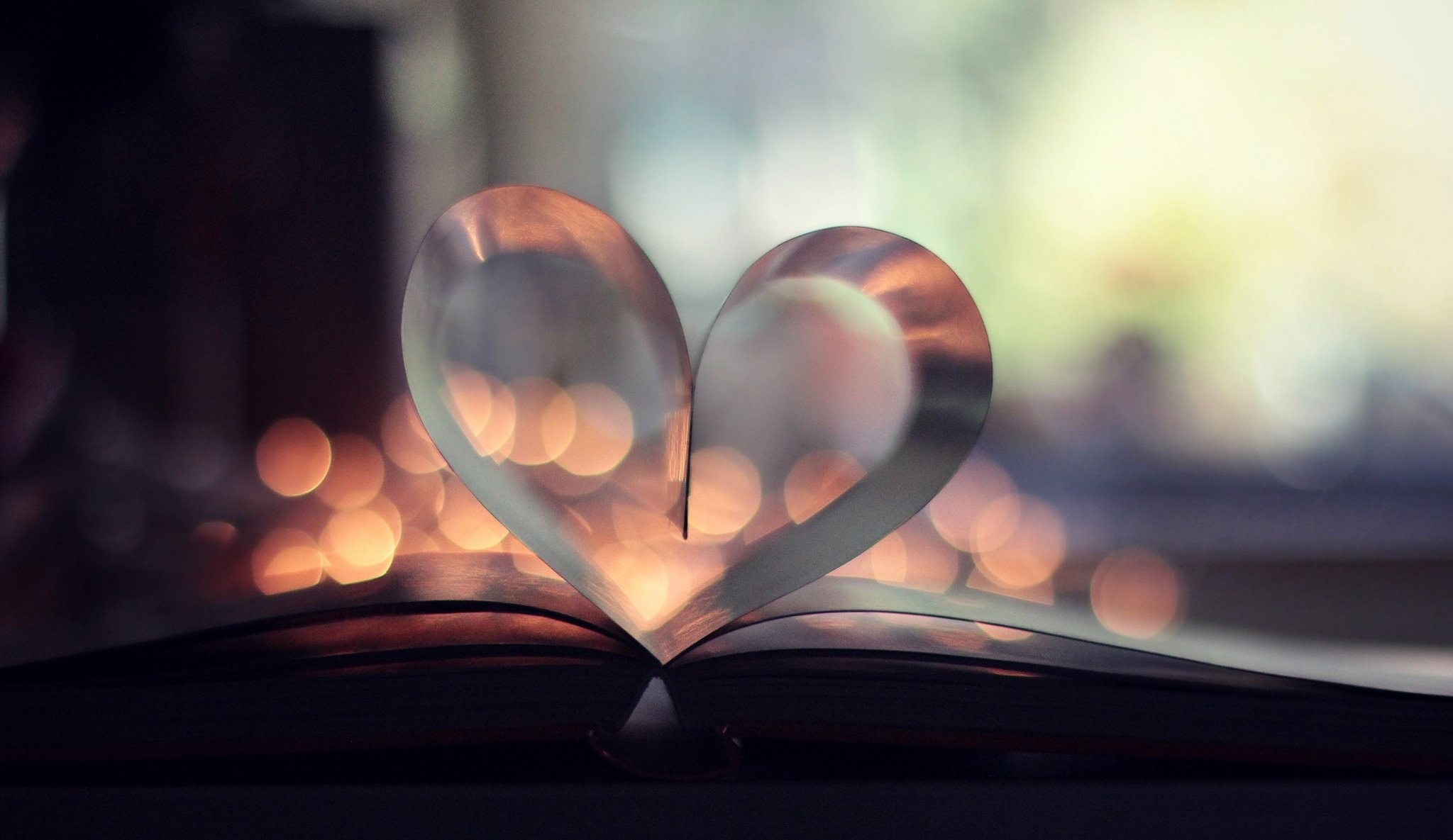 livre livre pages coeur bokeh