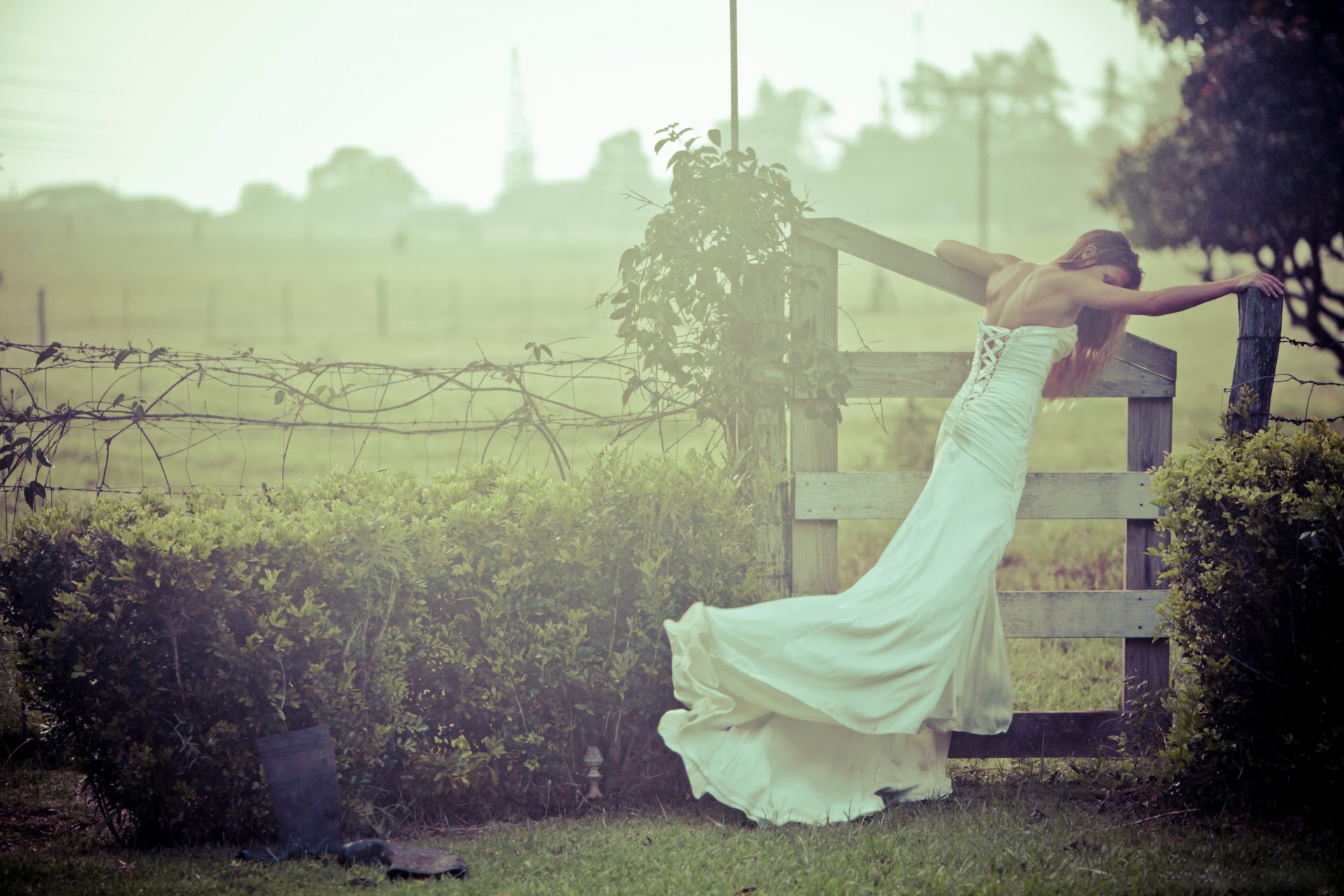 ragazza abito da sposa matrimonio sposa sposa recinzione natura