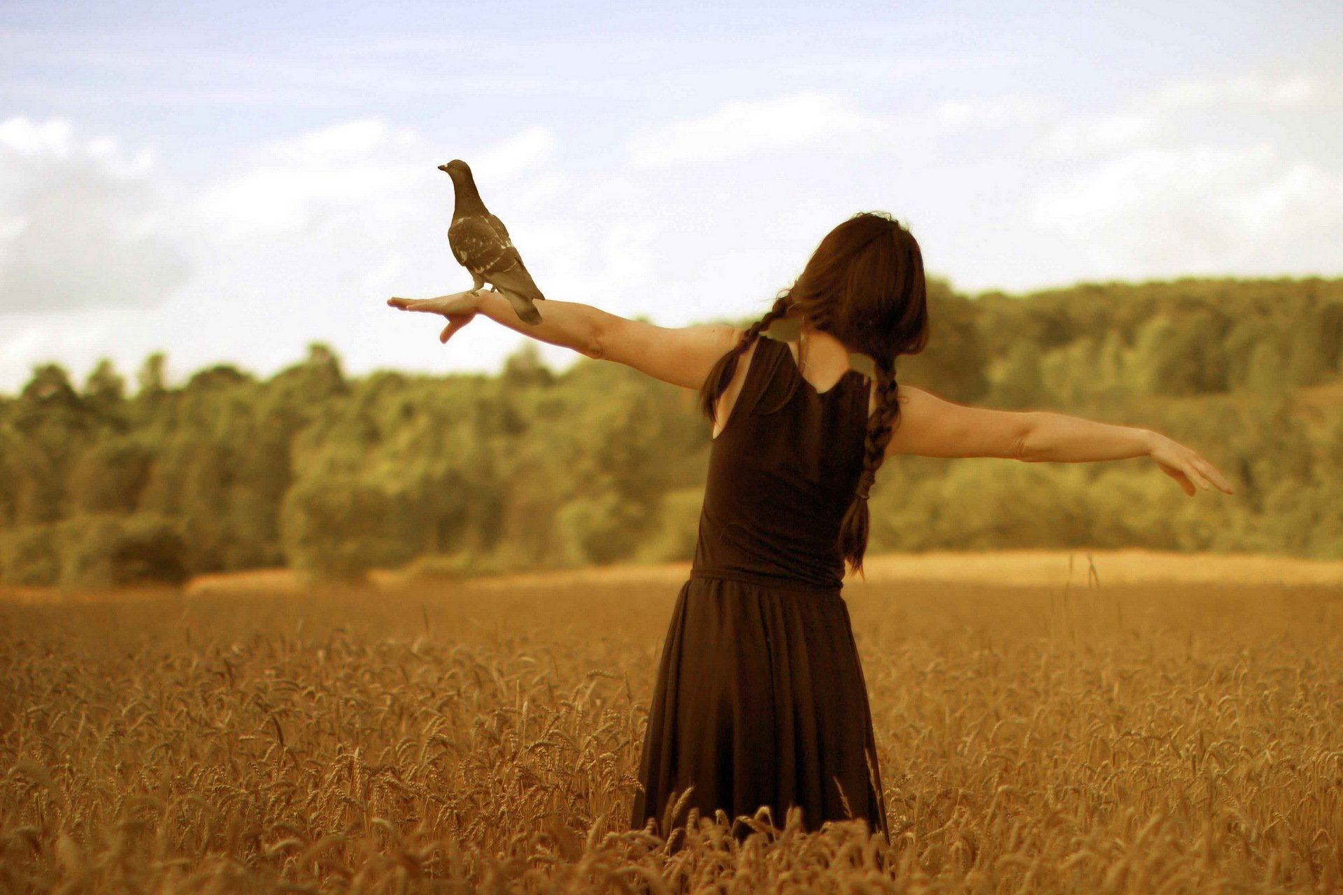 fille oiseau champ liberté montage