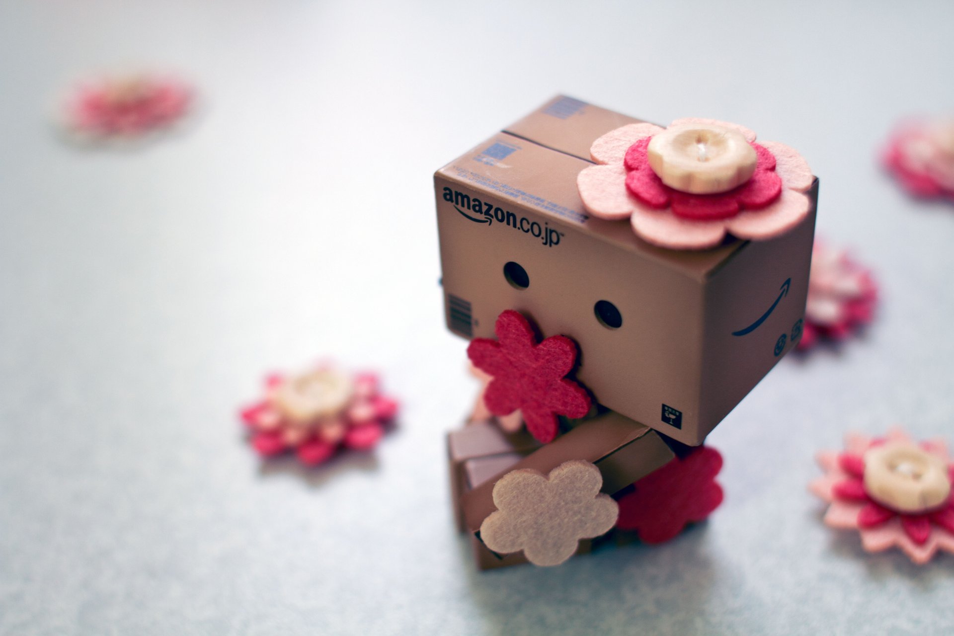 danbo amazon boîte boîtes fleurs boutons