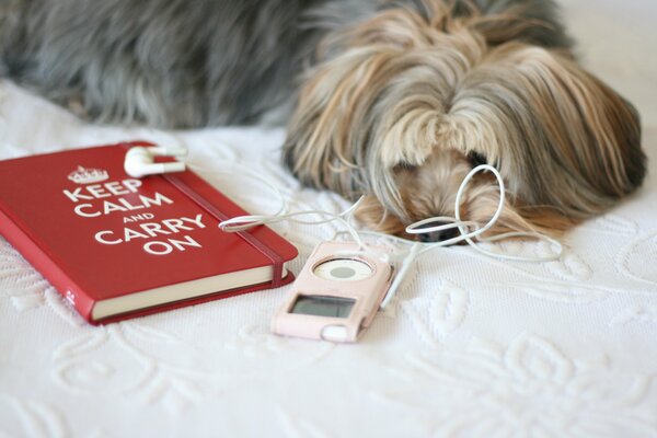 The dog is lying on the bed with a notebook and a player