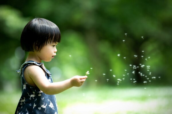 A little girl with a dandelion