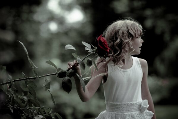 Hermosa chica en un vestido blanco con una rosa larga