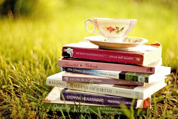 Pile de livres avec des tchèques et une soucoupe sur le dessus sur une clairière avec de l herbe