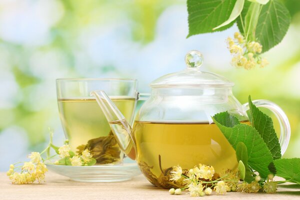 Flowers and leaves in a tea pot