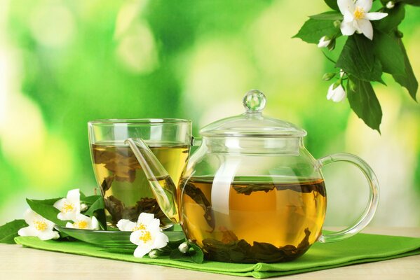 Jasmine tea on the background of the garden