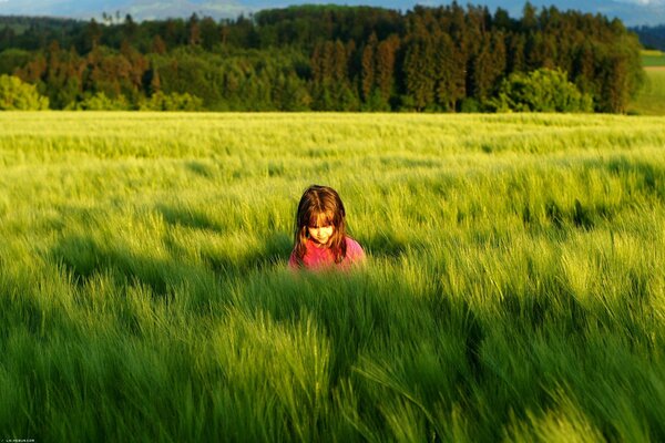 Ambiance verte dans la couleur des prairies