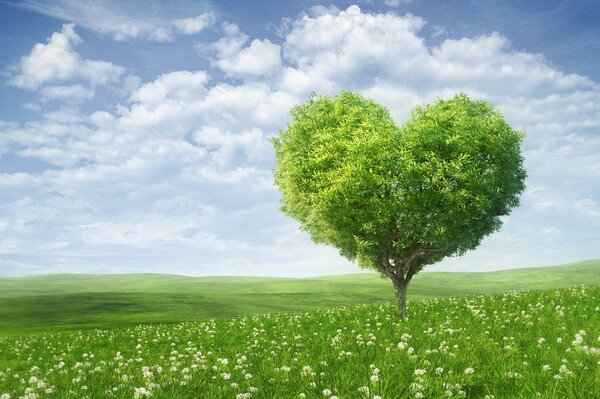 Albero a forma di cuore in un prato verde