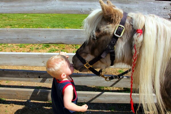 Bacio amichevole di un bambino e un pony