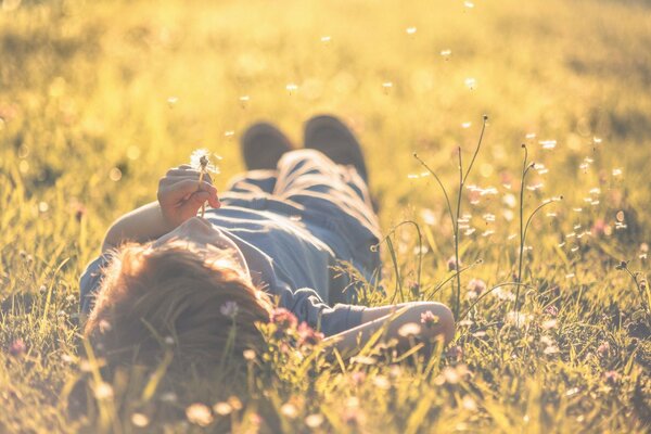 Desktop-Hintergrund. Junge im Gras