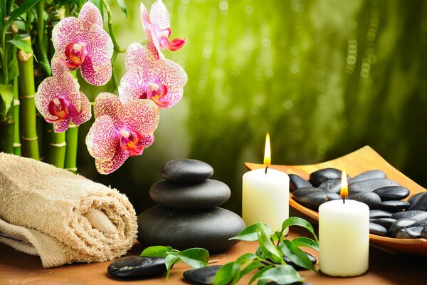 Orchids with black stones and candles on the table