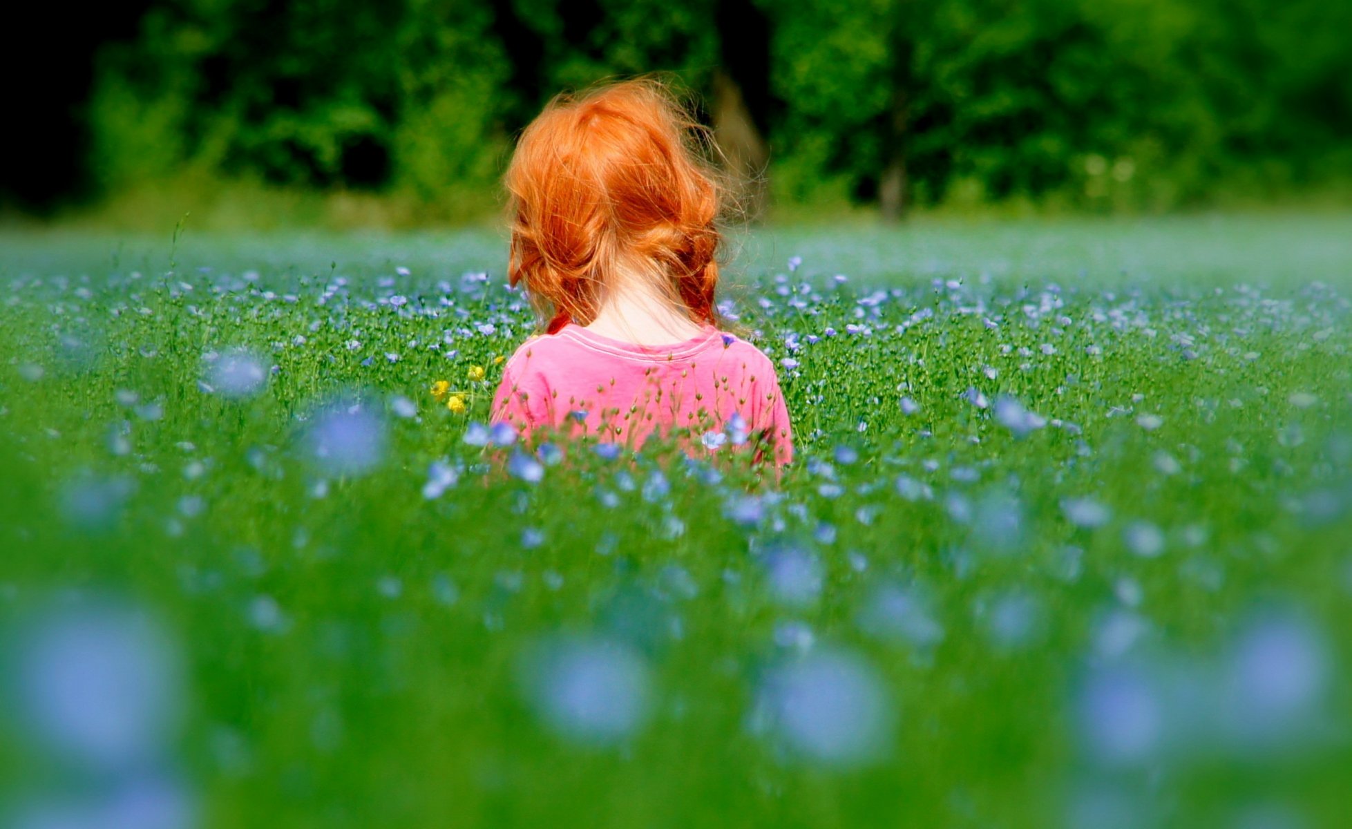 stimmung mädchen kinder kind rothaarige natur gras