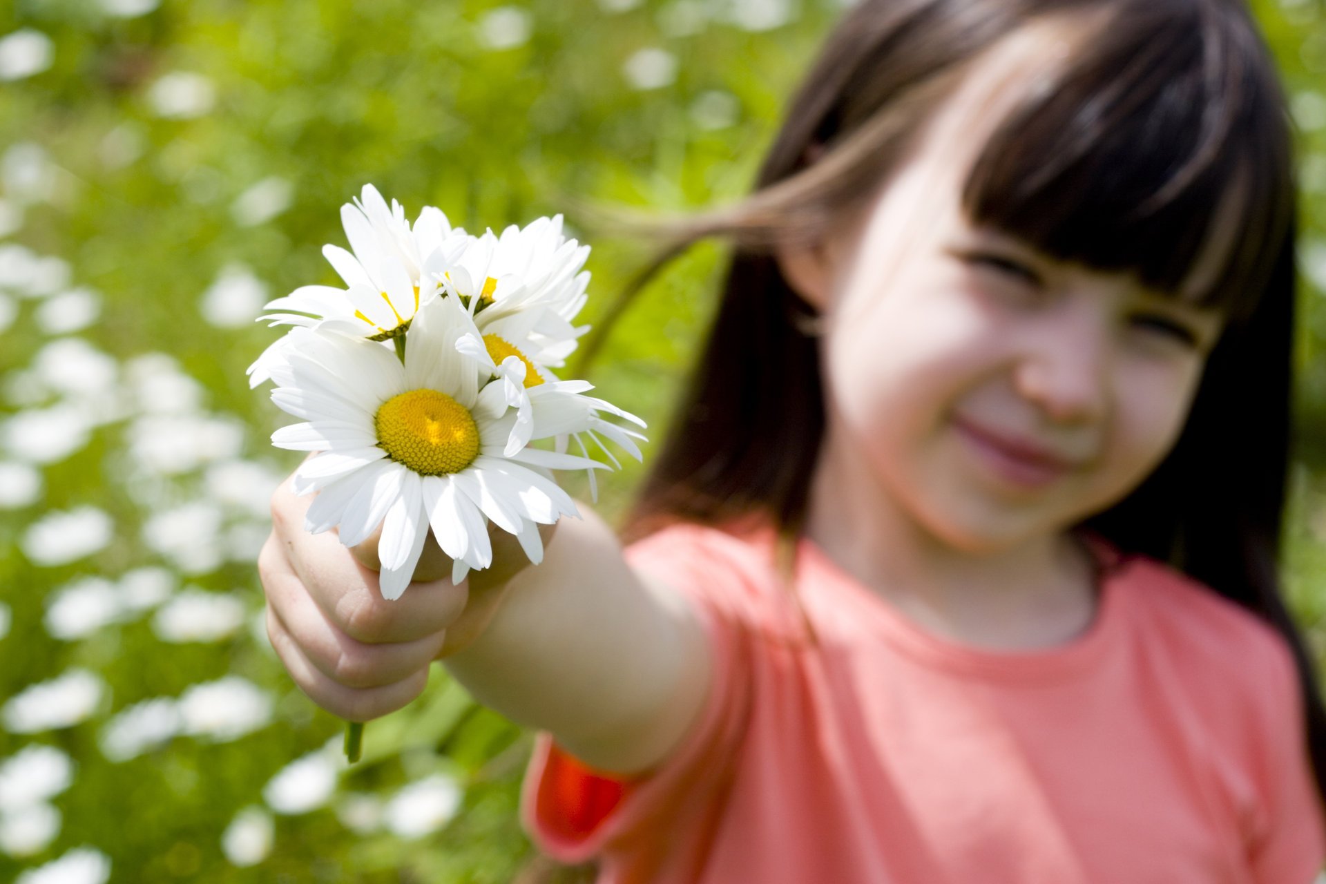 fille romantique enfant bonheur fleur rose tournesol sourire fille romantique mignon belle enfants fleurs roses