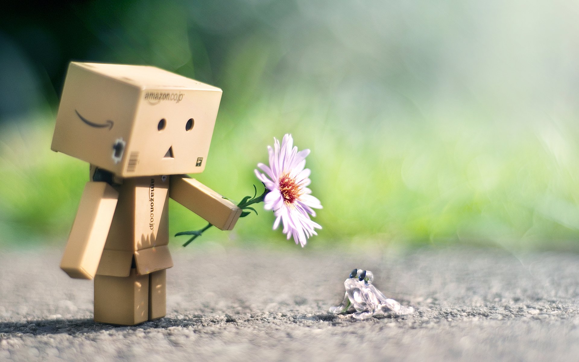 danbo danbo przyjaźń