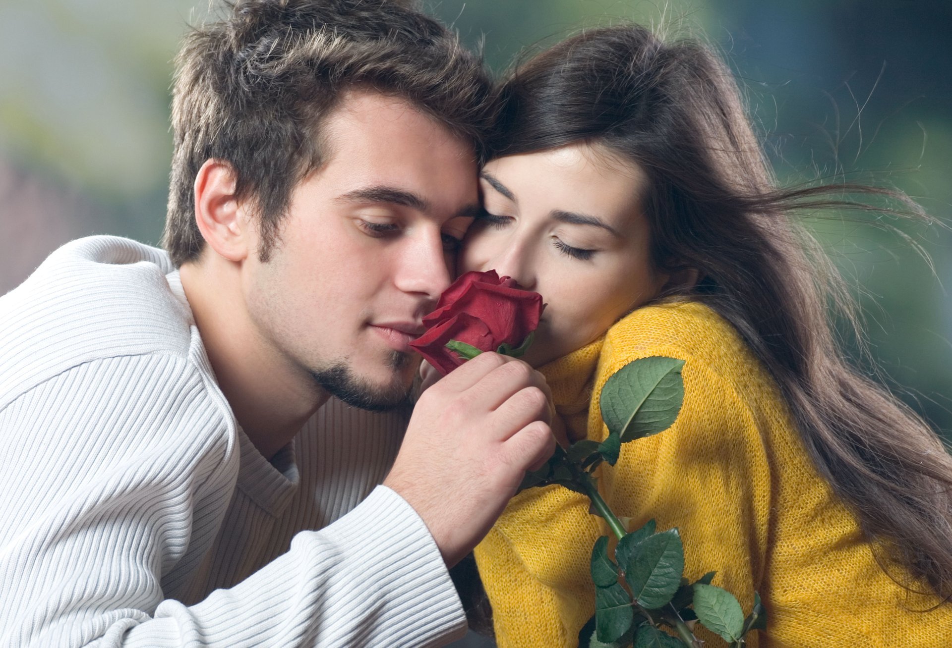 amor foto primer plano placer relación deseo novio chica romance rojo rosa ternura