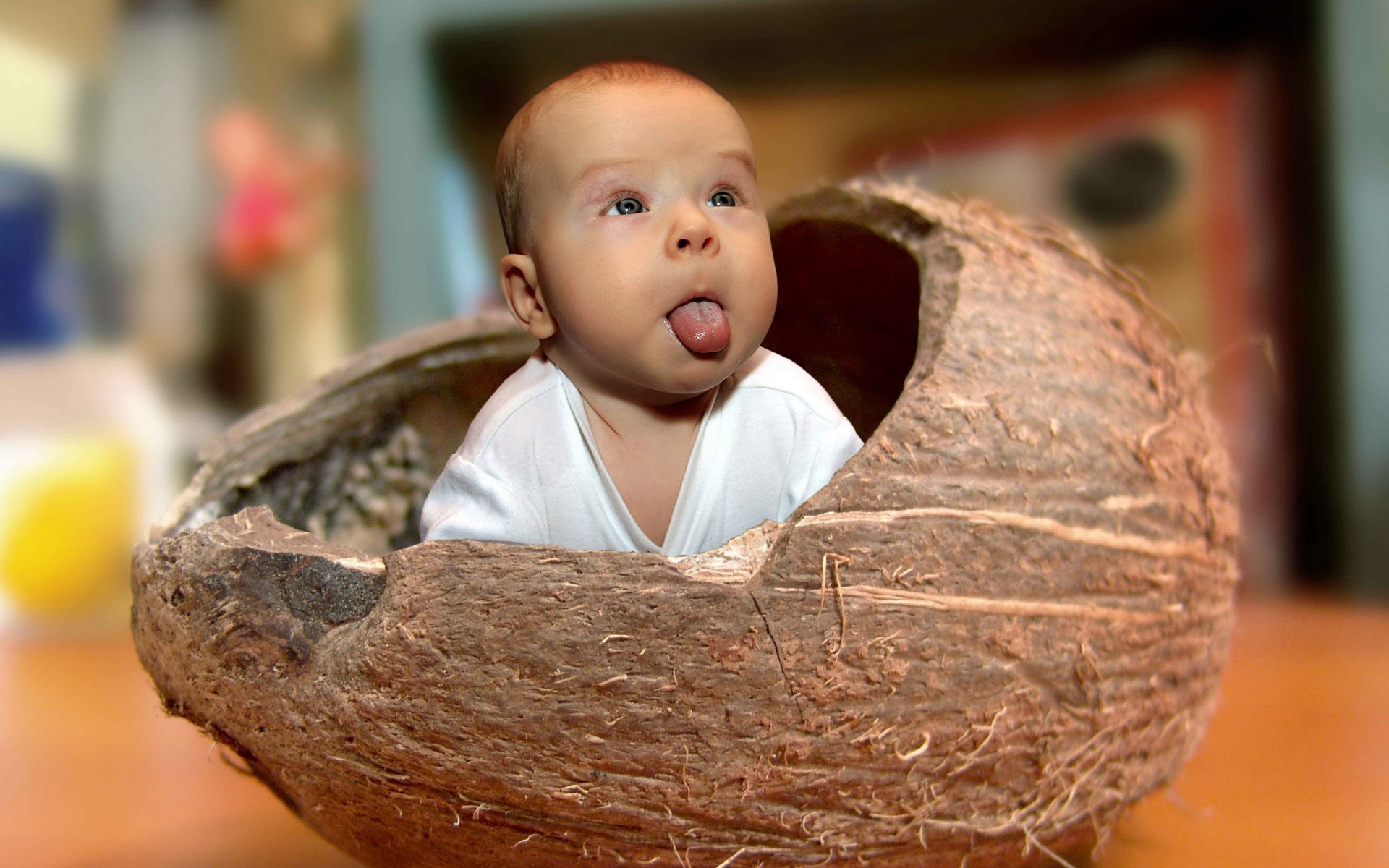 bébé coquille humeur