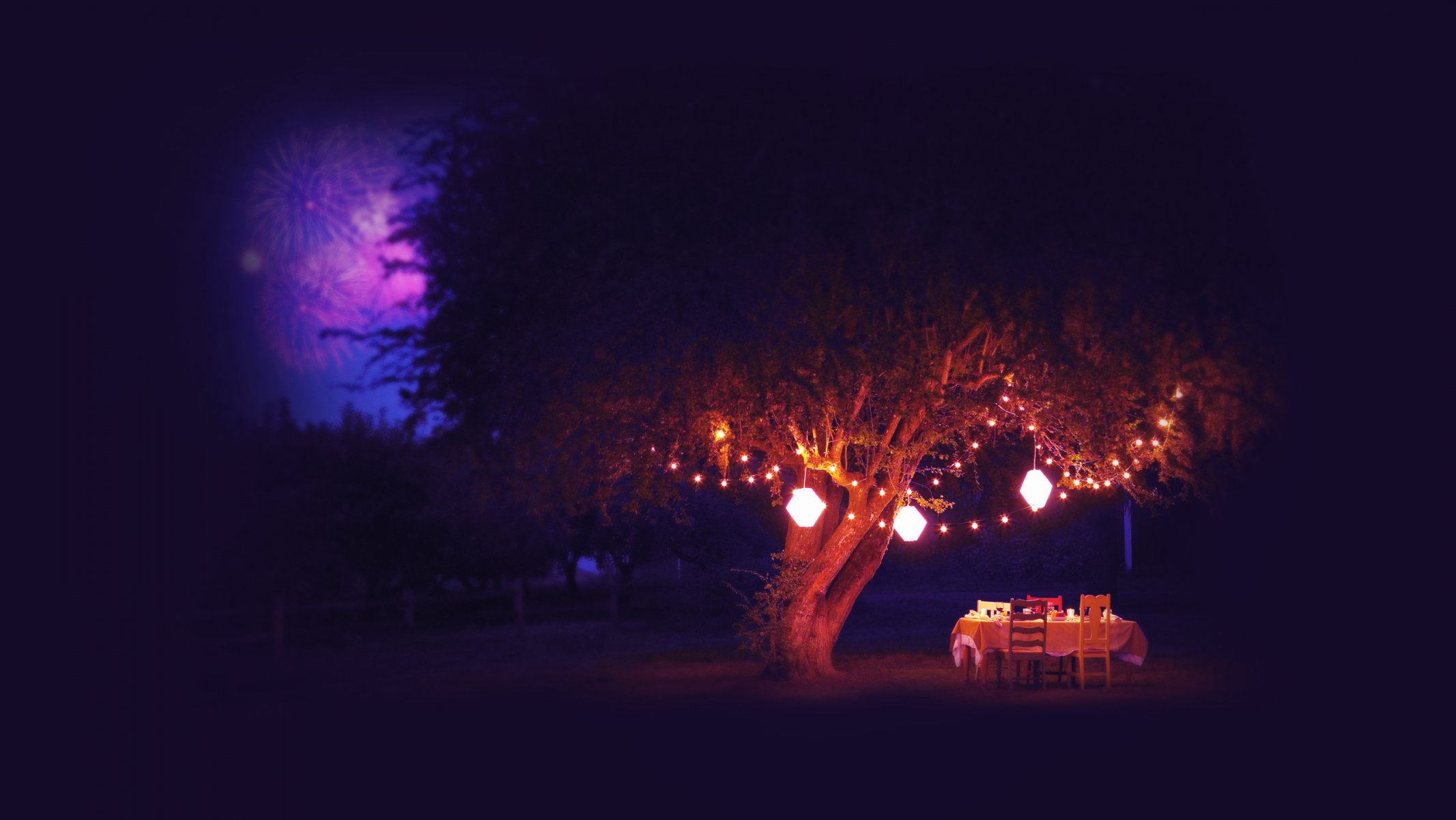 estate tavolo notte albero lanterne fuochi d artificio fuochi d artificio