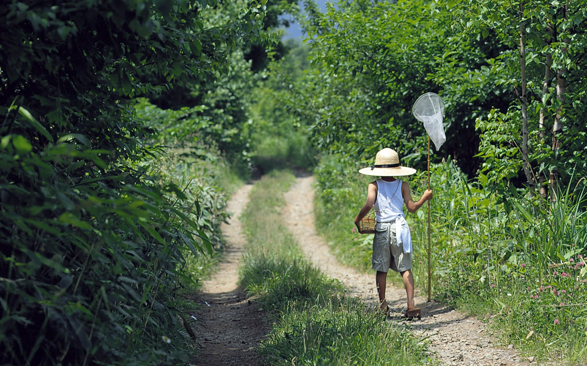 strada erba foresta alberi verde vegetazione estate natura ragazzo pantaloncini canotta cappello gabbia guadino