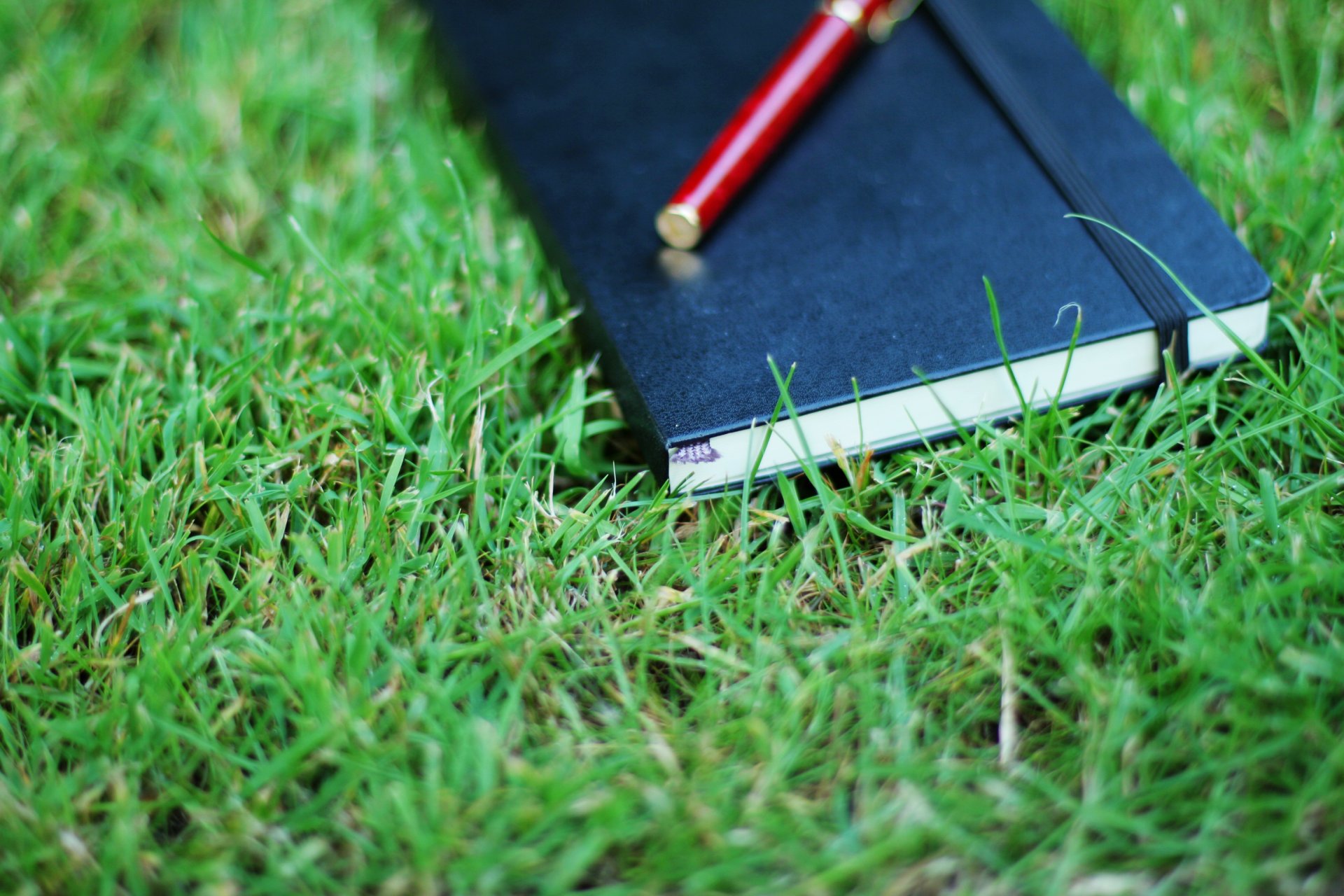 stimmungen natur gras grüns buch notizblock