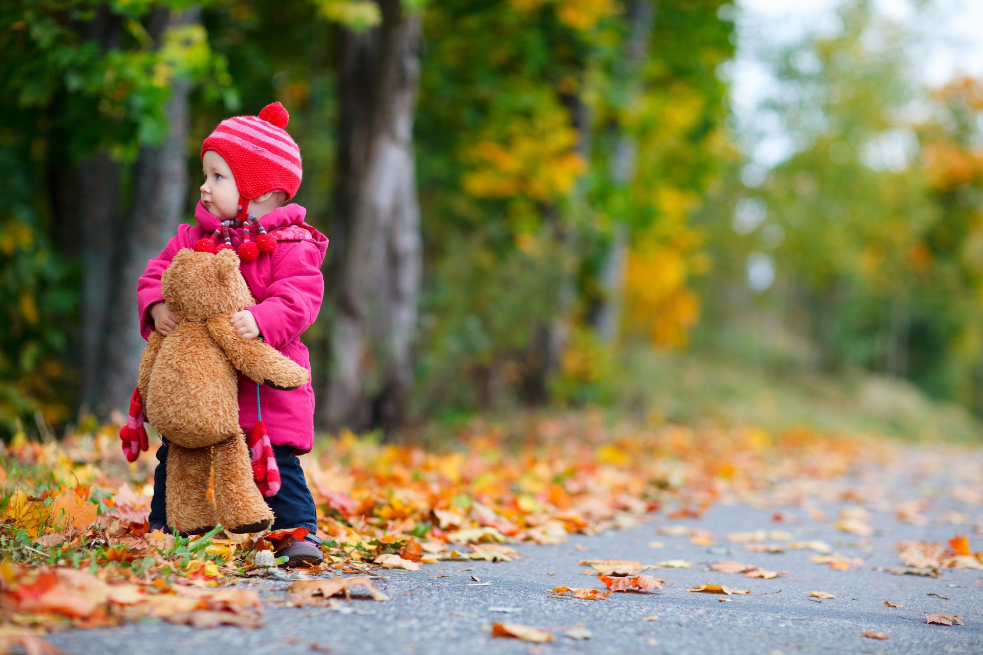 ragazza bambino infanzia alberi strada orsacchiotto autunno solitario bambina bambini orsacchiotto solitario