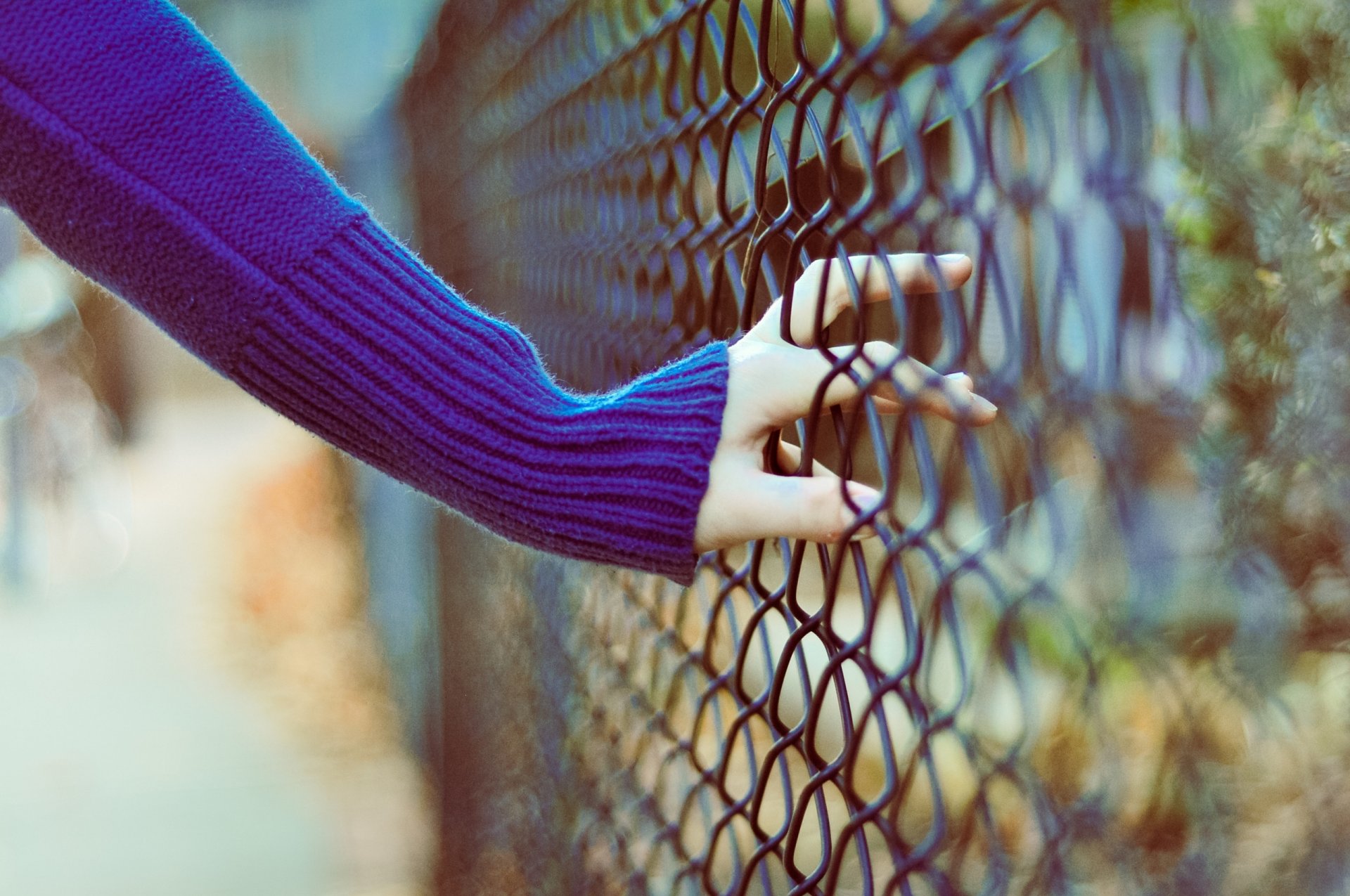 main grille humeur bokeh flou