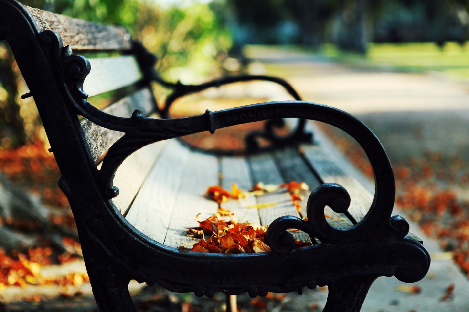 park bank blätter herbst natur