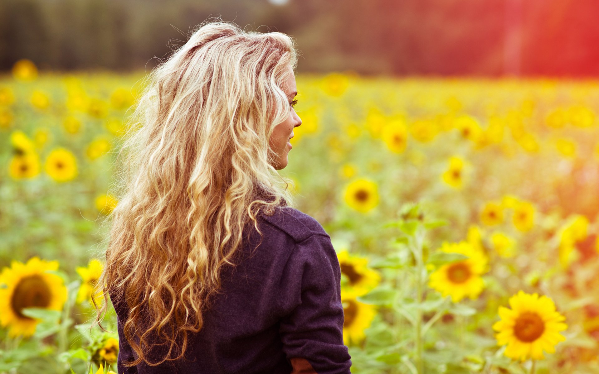 chica espalda cabello chaqueta sonrisa cara campo claro girasoles flores verano luz color calor estado de ánimo