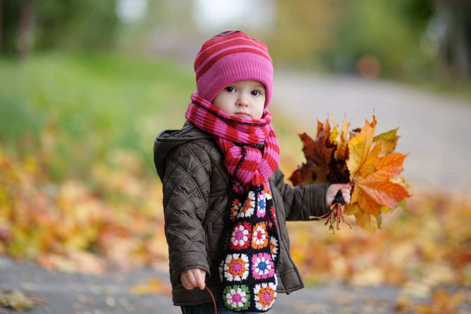 baby junge kind kindheit herbst blätter fleck kinder niedlich unschärfe