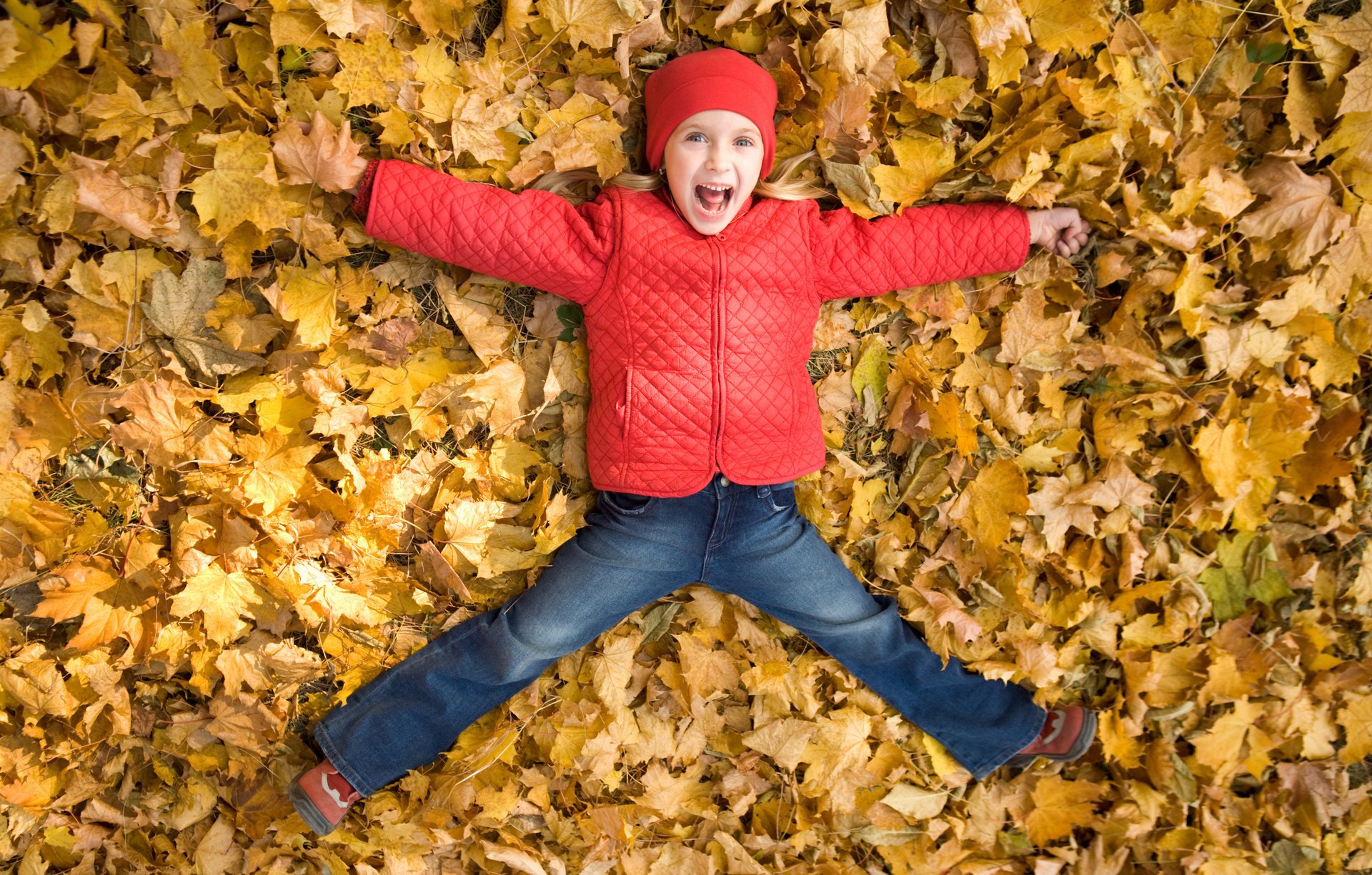 glückliches mädchen herbstlaub glück lächelnd spielen kindheit kind glückliches kleines mädchen herbstlaub glück spielen spaß kinder