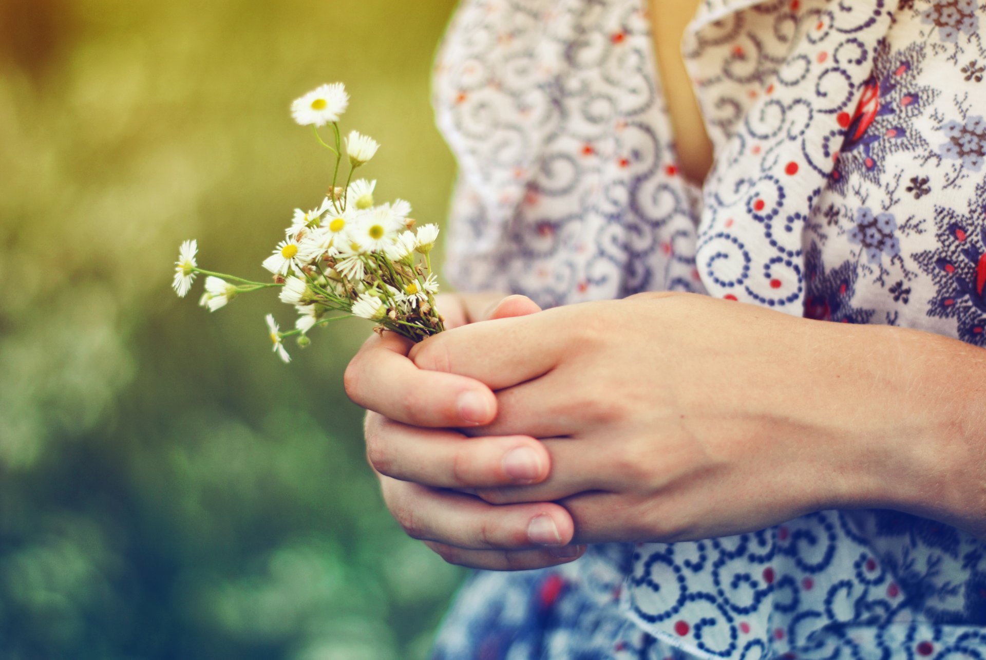 hands girl chamomile flower plants jacket flowers light summer sun mood