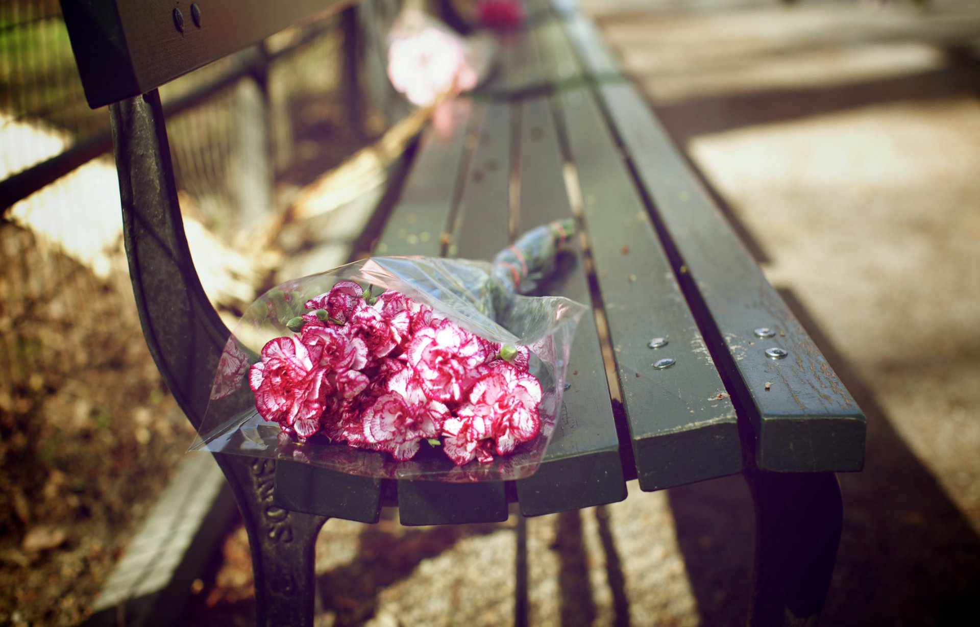 bank blumenstrauß freude blumensträuße blumen blütenblätter rosa knospen farbe park pflaster zaun stäbe