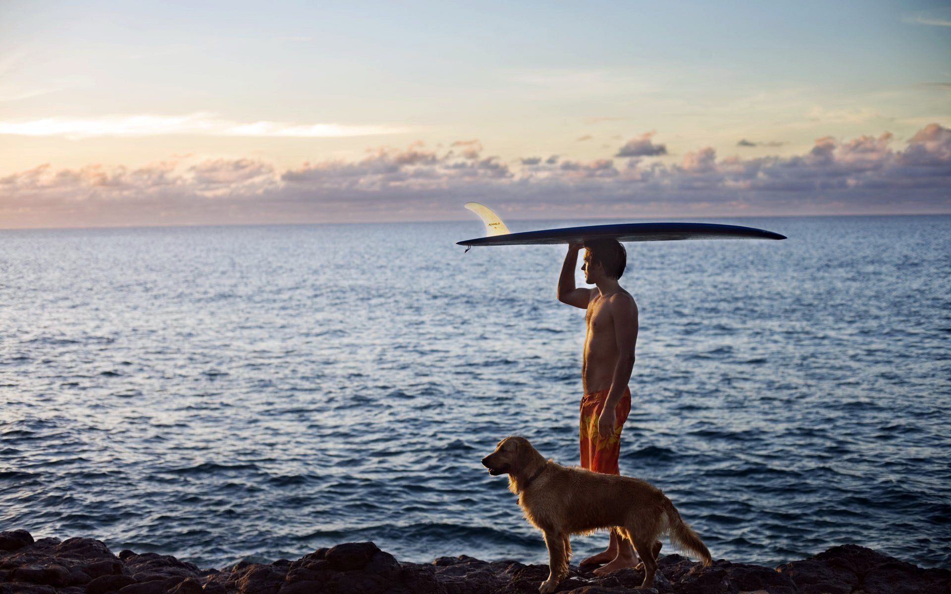 ea ocean coast beach dog surfing the distance horizon sky clouds sport