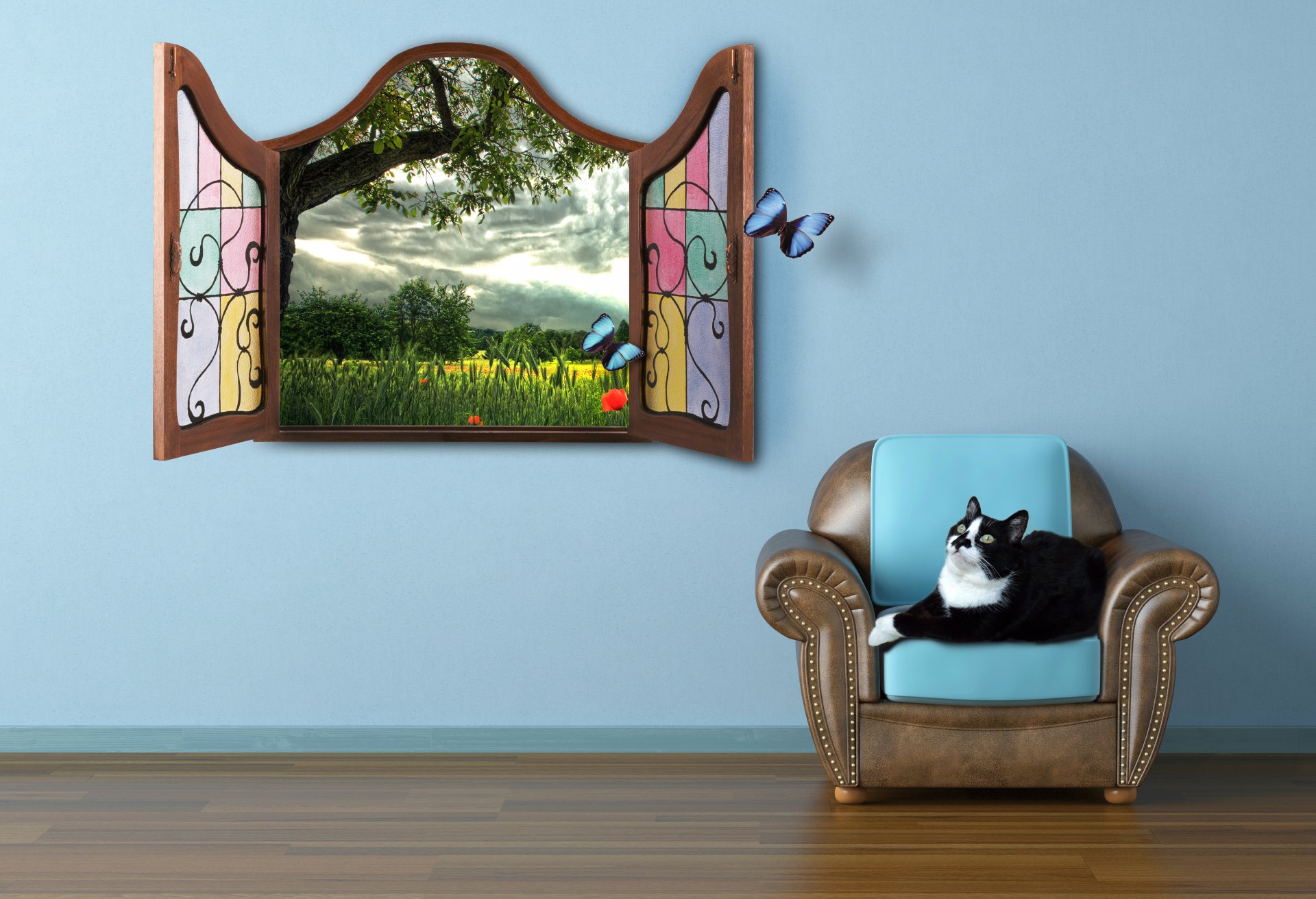 cat summer window watch tale butterfly