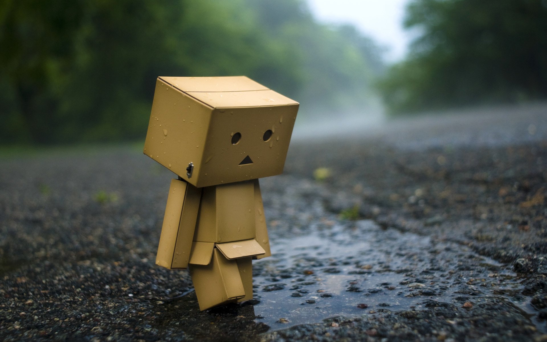 danbo boîte flaque d eau asphalte pluie humeur homme danboard papier peint