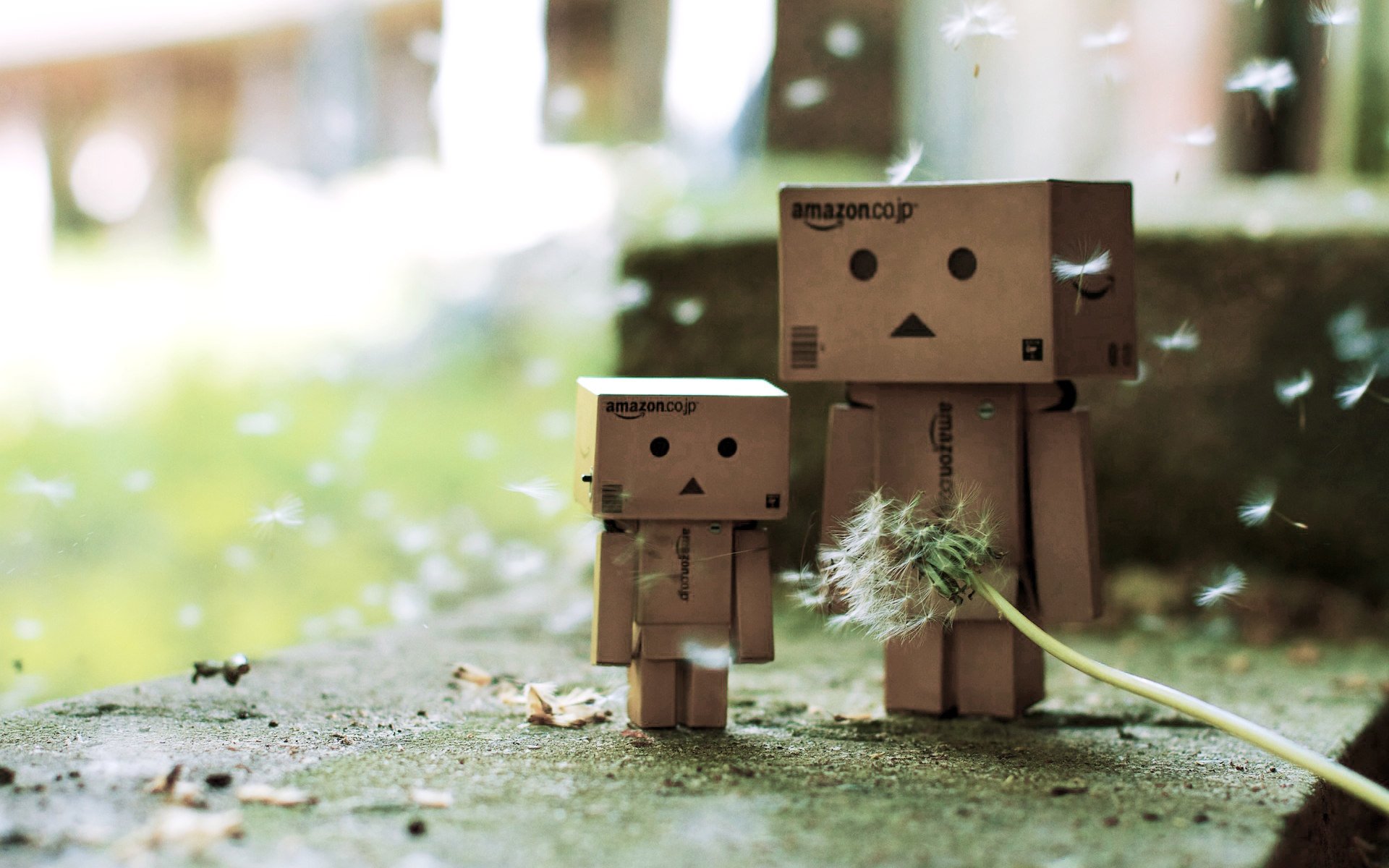 danbo danbo cajas diente de león