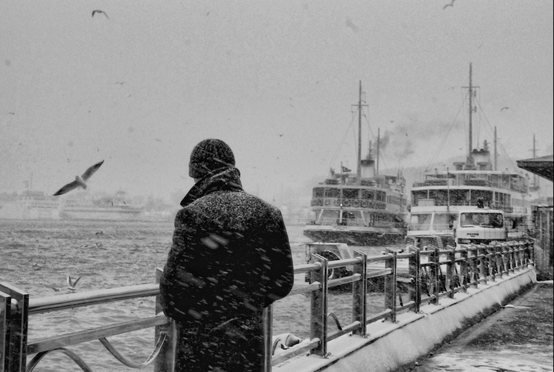 bianco e nero ragazzo uomo mare navi porto gabbiani neve recinzione nostalgia ricordi pensieri pensosità solitudine tristezza