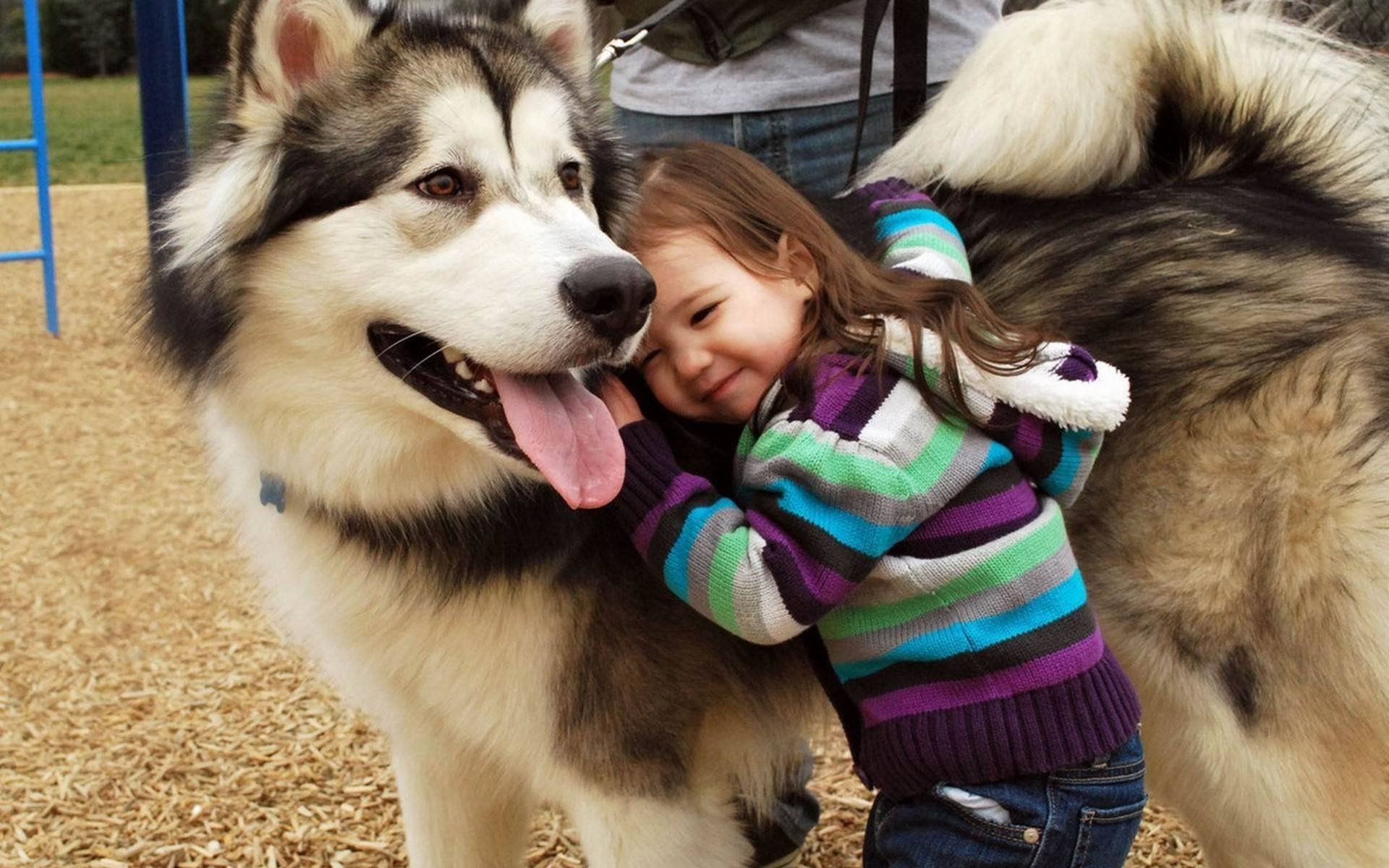 stati d animo bambini ragazza bruna maglione a righe cane amicizia amico amore. sorriso natura