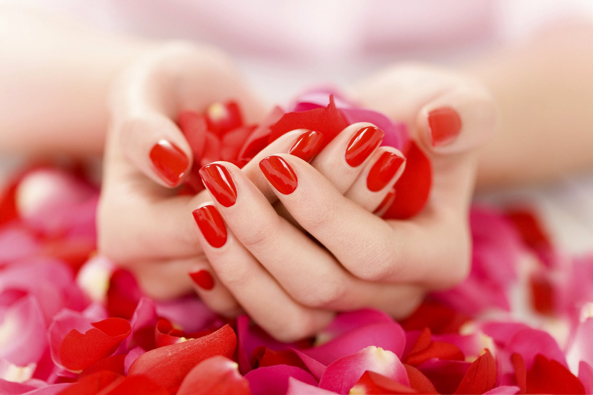 hands manicure red lacquer petals tender