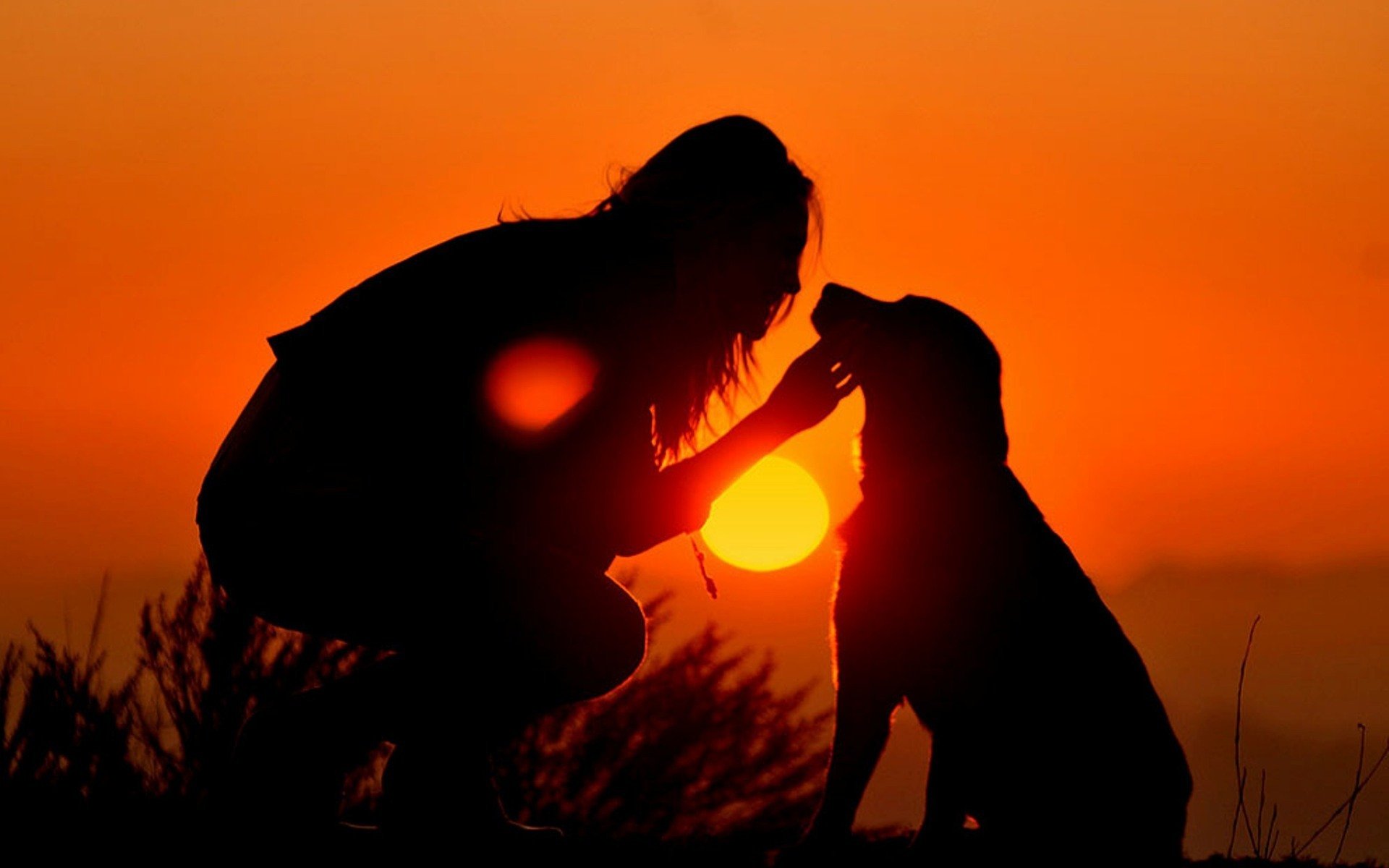 fille chien ciel coucher de soleil soleil silhouettes