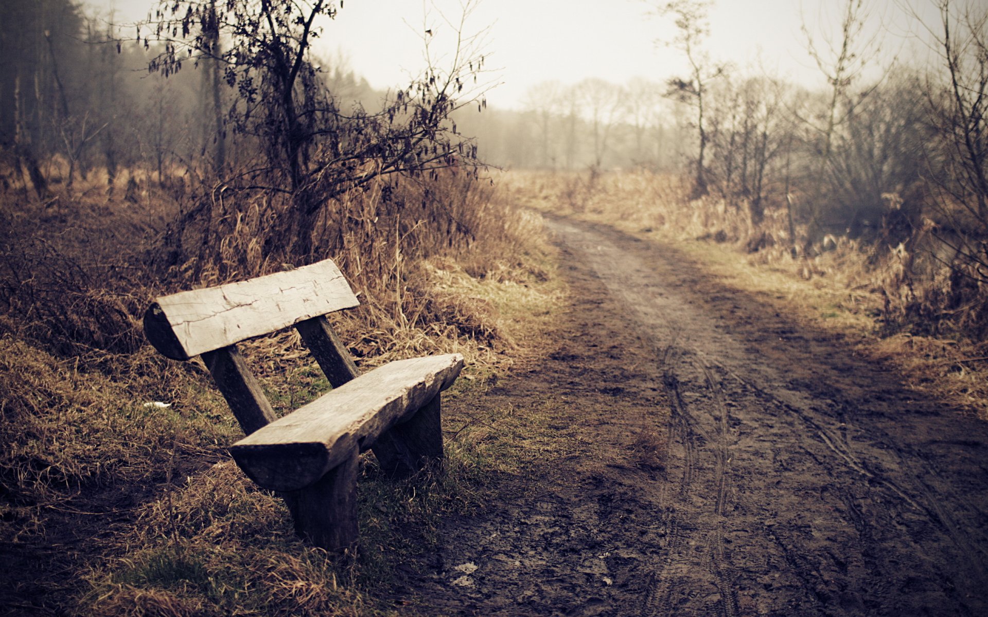 bench fog road