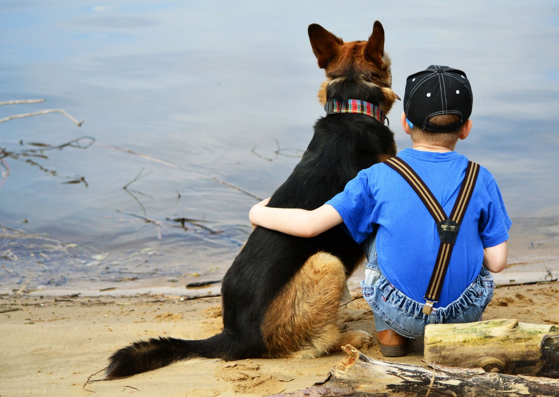 garçon chien amis