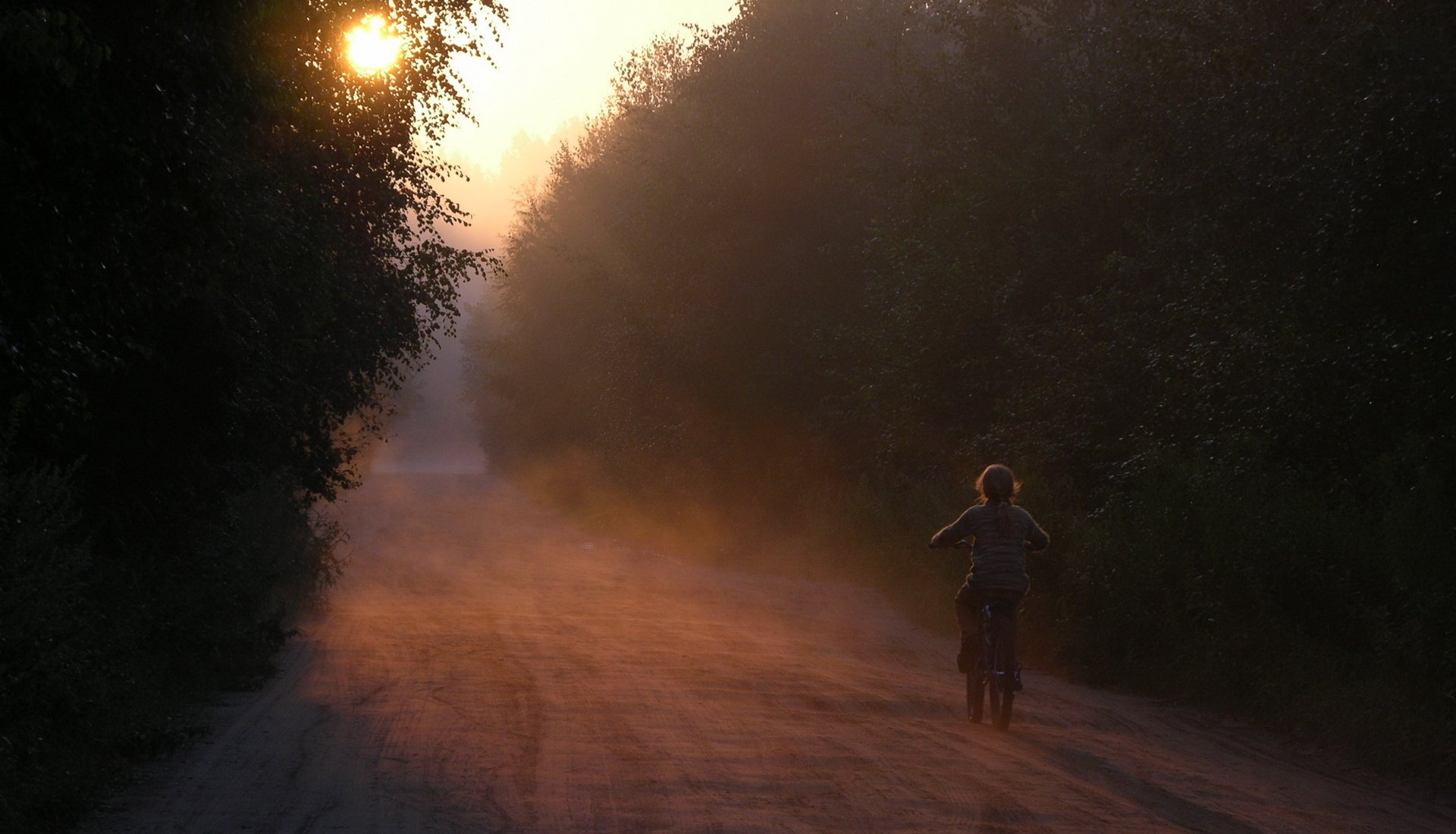 mañana silencio amanecer bosque carretera niña bicicleta