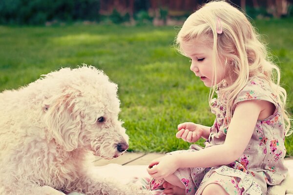 Niña se comunica con perro peludo