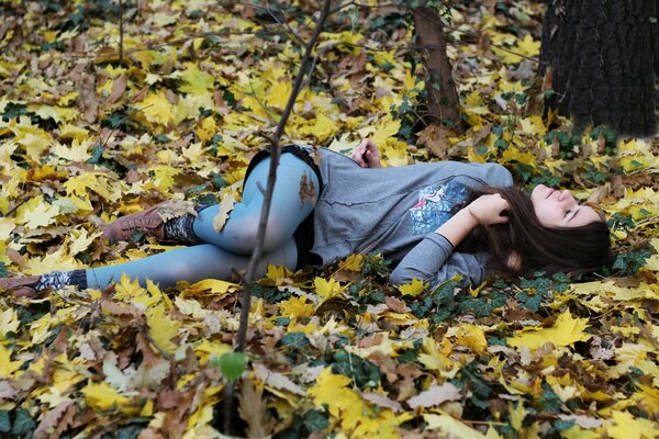 Photoshoot d automne dans le feuillage tombé