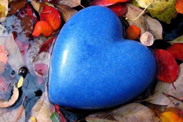 Pierre bleue en forme de coeur à l automne dans une flaque d eau