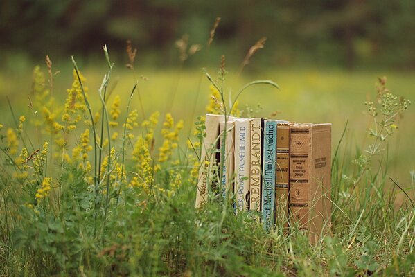 Livres dans la nature. Esthétique avec sens