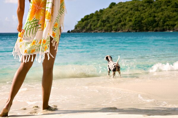 Paseo por la orilla del mar con un perro